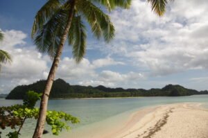 Paradise island of Siargao Philippines, palm tree, white sand, crystal blue water and jungle landscape