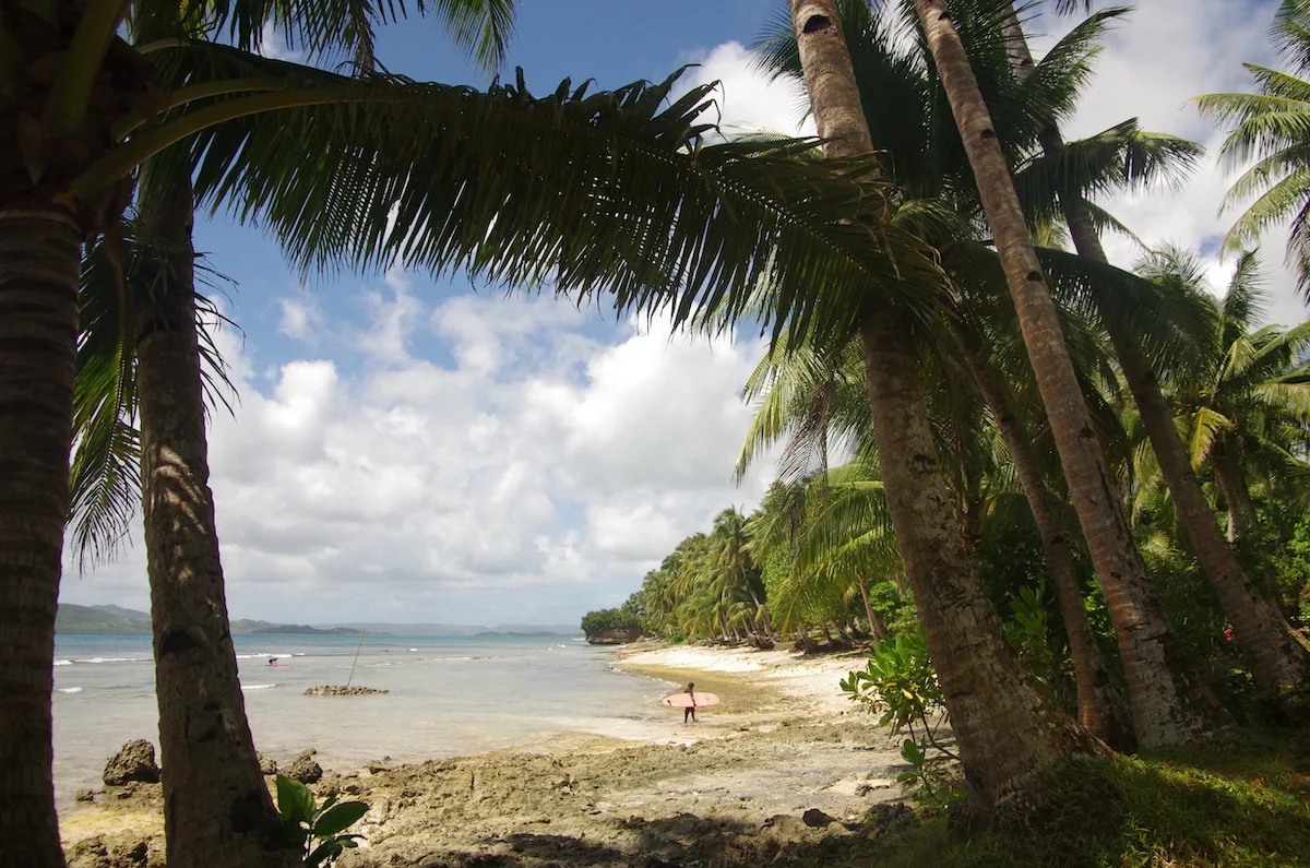 A wave riding spot with a guy walking outside carrying a surfboard. White sandy beach with palm trees. Perfect place for surf travel.